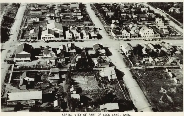 Aerial view of part of Loon Lake
