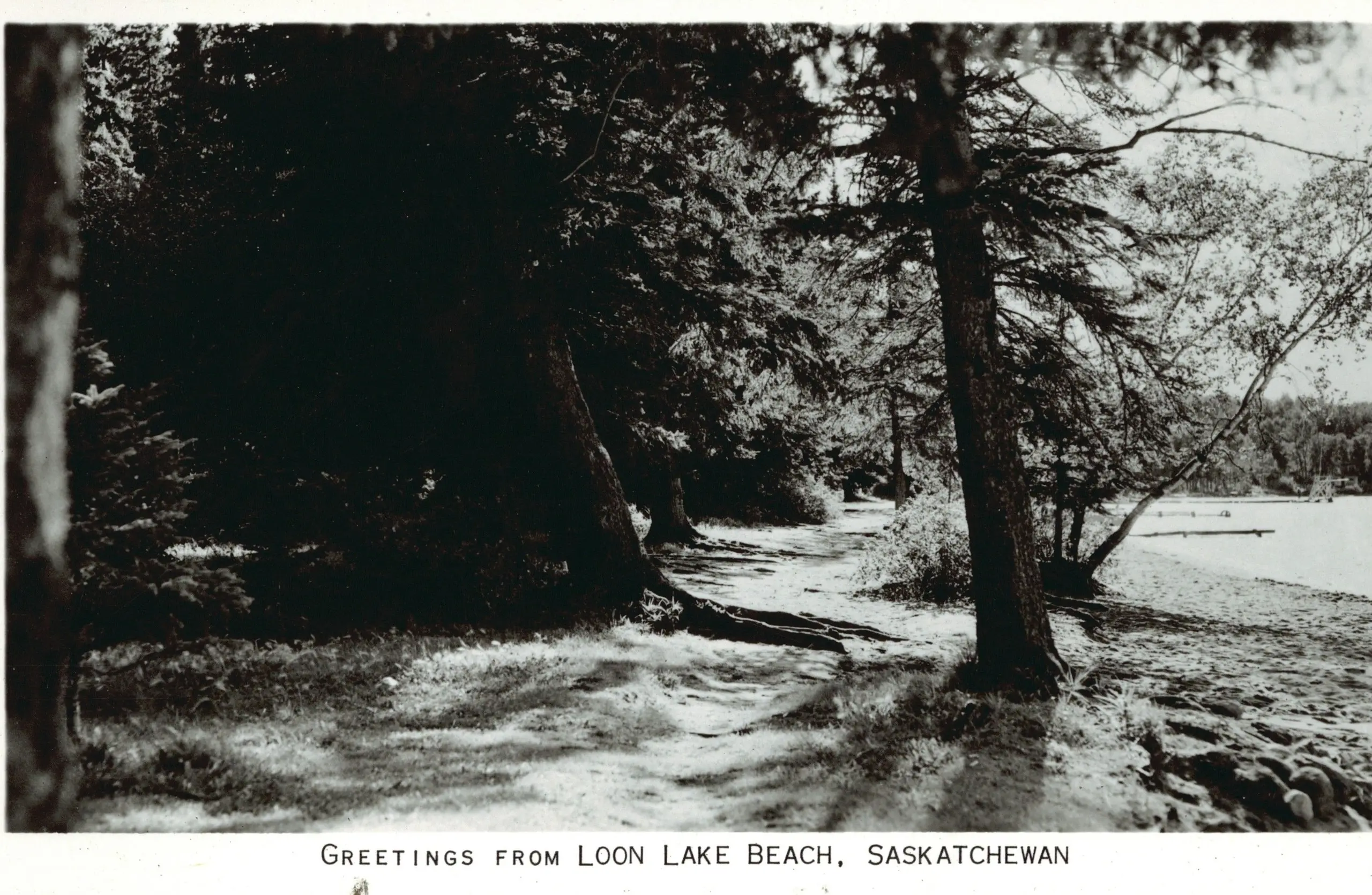 Greetings from Loon Lake Beach