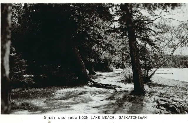 Greetings from Loon Lake Beach